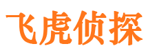 宾阳调查事务所